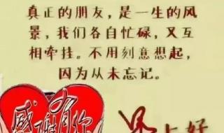 我的好朋友作文二年级下册