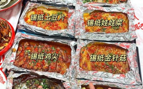 鸡胗的做法大全（锡纸鸡胗的做法大全）