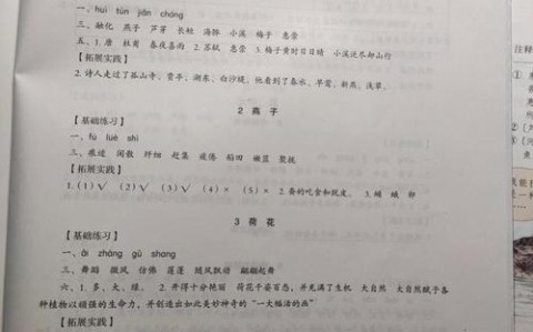 基础训练答案（基础训练答案三年级下册）