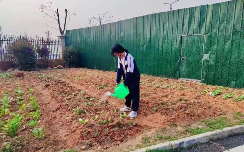 劳动教育实践（劳动教育实践基地）