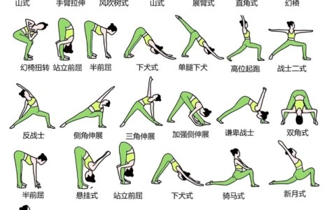 瑜伽教程（瑜伽教程初级全套完整）