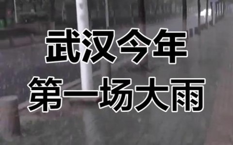 武汉今日天气（武汉今天下雨吗）
