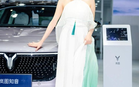 郑州大河车展（郑州大河车展要门票吗）