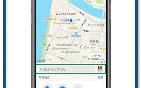 电子地图查询（电子地图在线使用）
