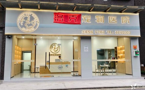 宠物医院相亲角（宠物医生联系方式）