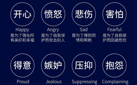 情绪价值经济（情绪价值经济支持正面陪伴三样皆无便是关系走到尽头）