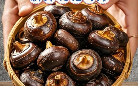 荸荠的最佳吃法和做法（荸荠的最佳吃法和做法视频）