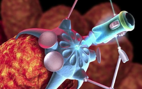 纳米机器人研究（纳米机器人研究出来了吗）