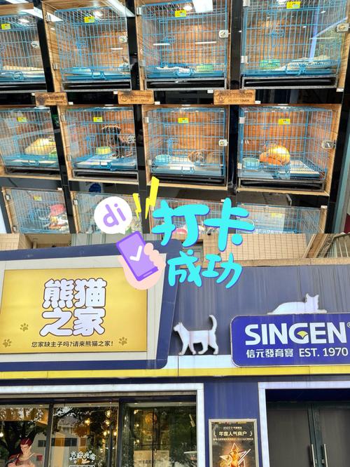 社区宠物托儿所(宠物托儿所加盟店)