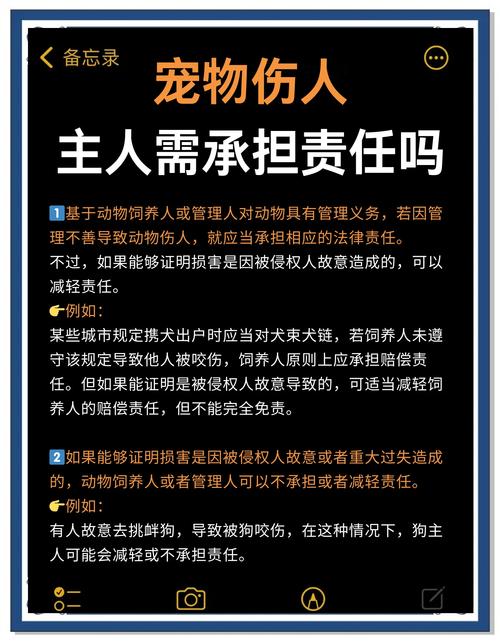 宠物伤人事件（宠物伤人属于什么责任）