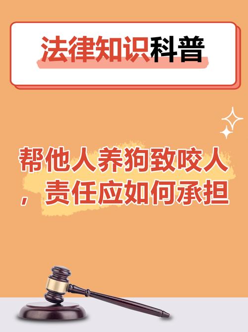 宠物伤人事件（宠物伤人属于什么责任）