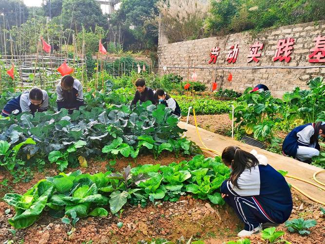 劳动教育实践(劳动教育实践基地)