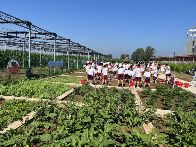 劳动教育实践(劳动教育实践基地)