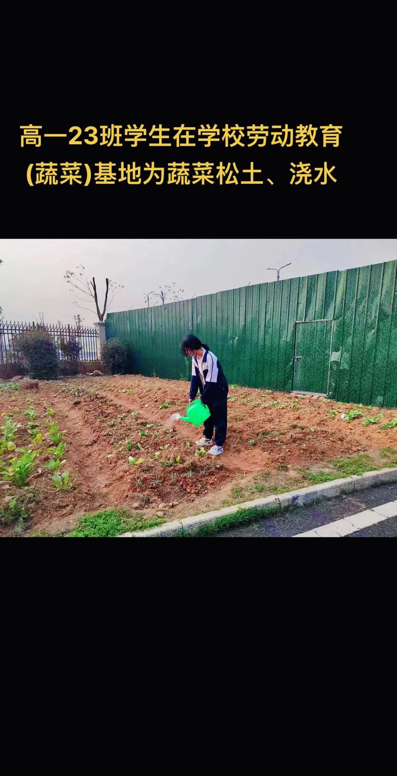 劳动教育实践(劳动教育实践基地)