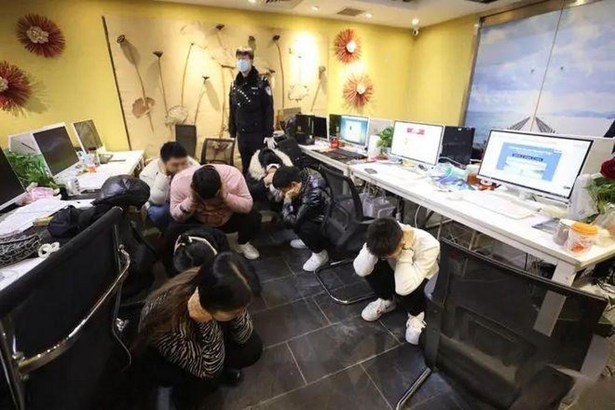 反诈抓捕行动(反诈案件)