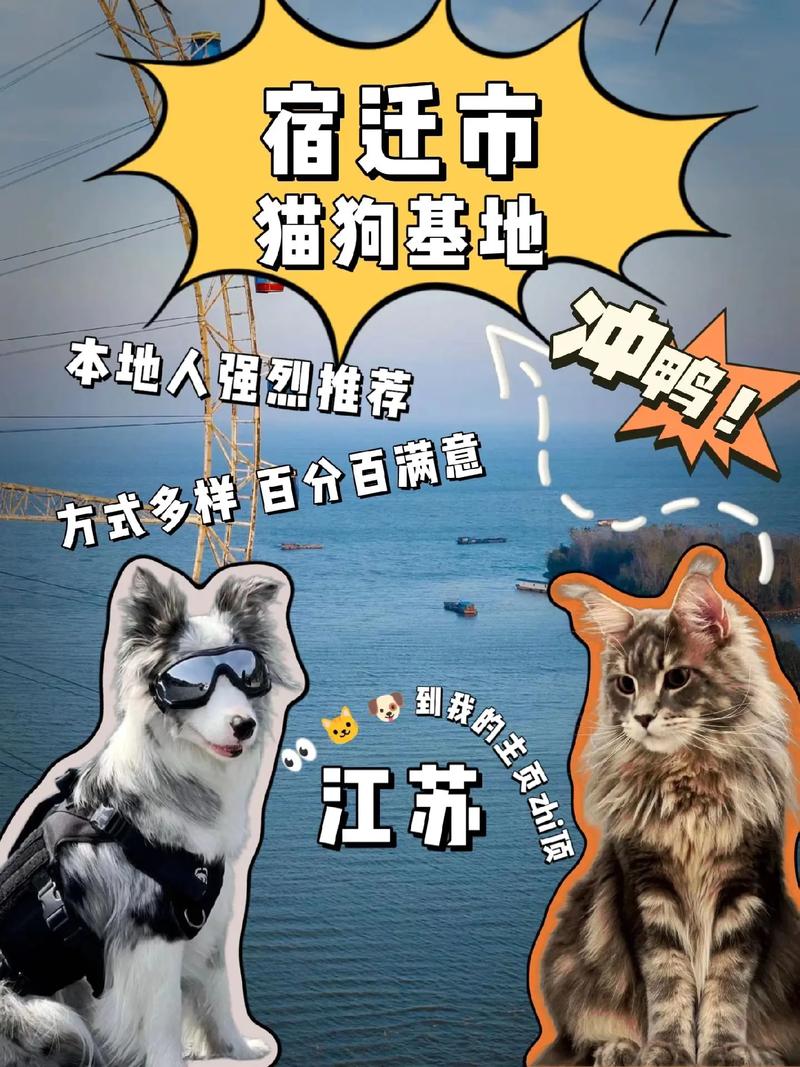 区块链养猫（区块链养狗）