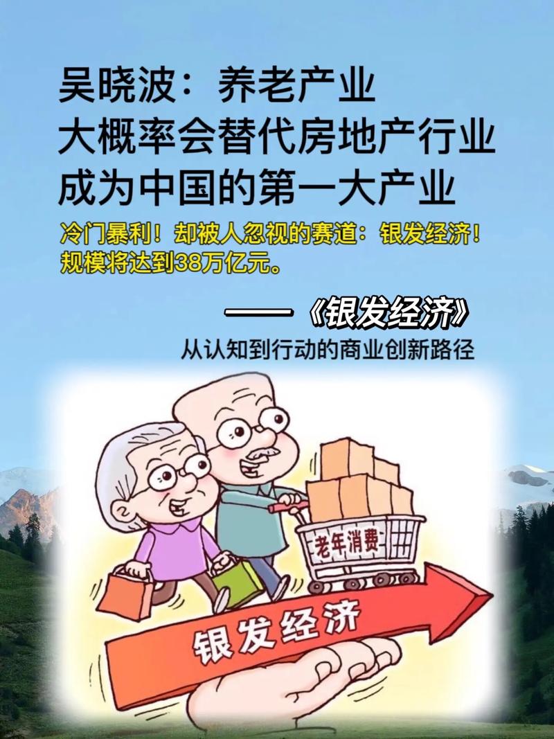 银发经济政策(银发经济政策支持的重点领域包括)