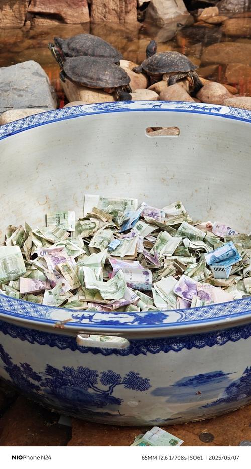 许愿池硬币变善款(往许愿池扔一枚硬币)