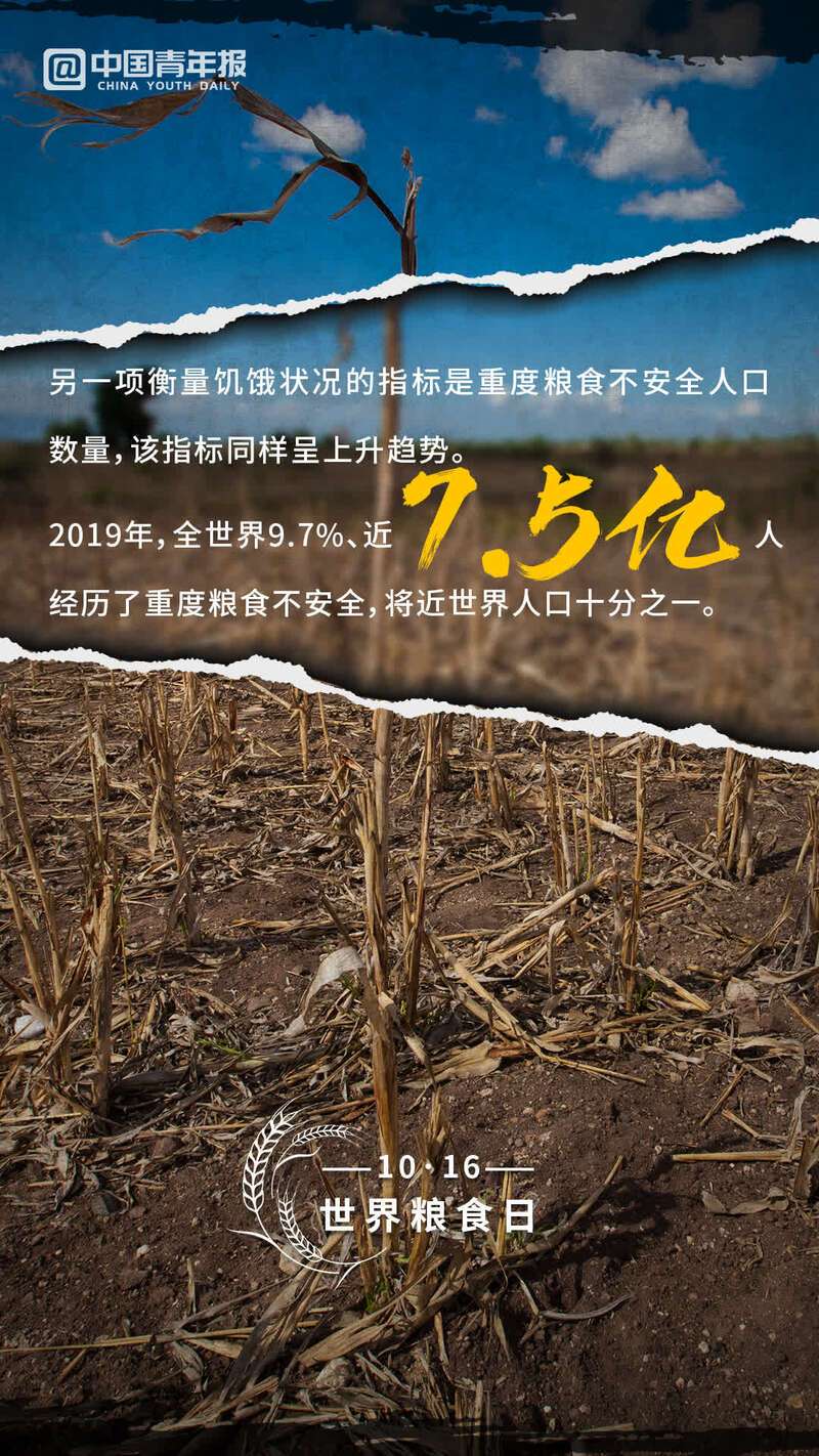 全球粮食安全（全球粮食安全仍未解除危机具体表现为）