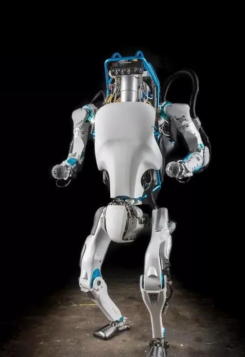 特斯拉人形机器人（特斯拉人形机器人龙头股票）