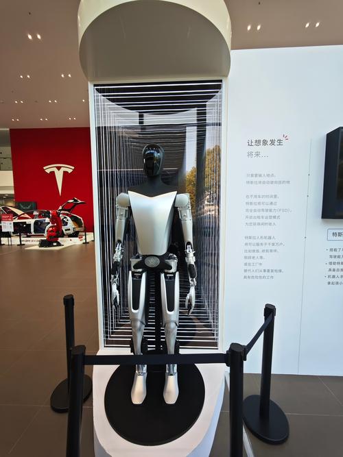 特斯拉人形机器人（特斯拉人形机器人龙头股票）