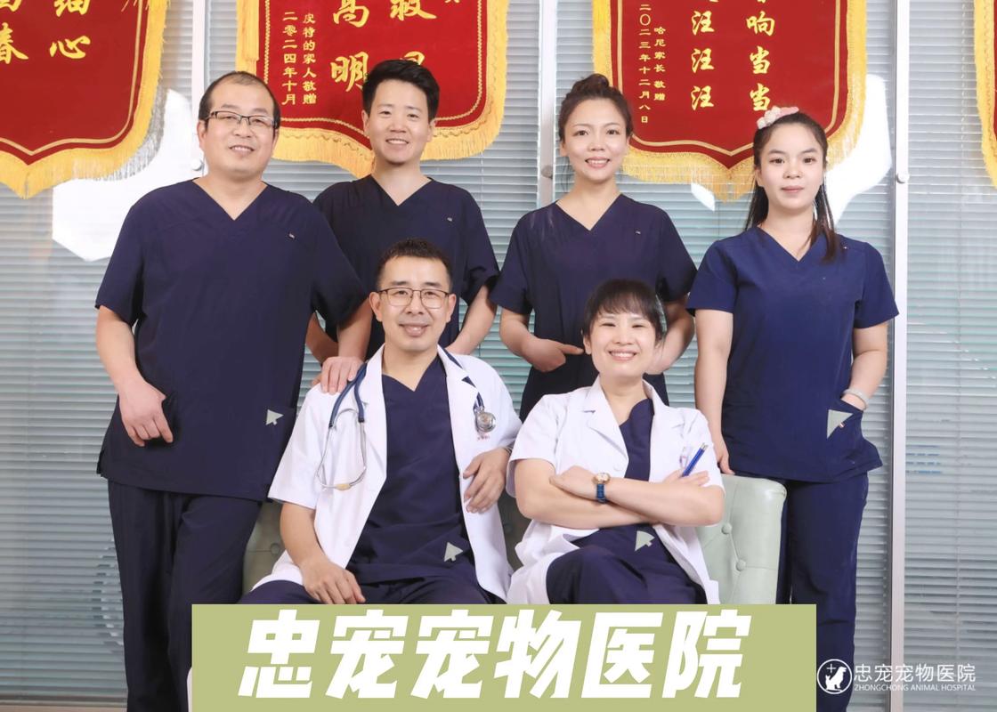 宠物医院相亲角(宠物医生联系方式)