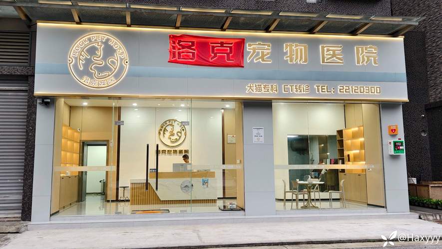 宠物医院相亲角(宠物医生联系方式)