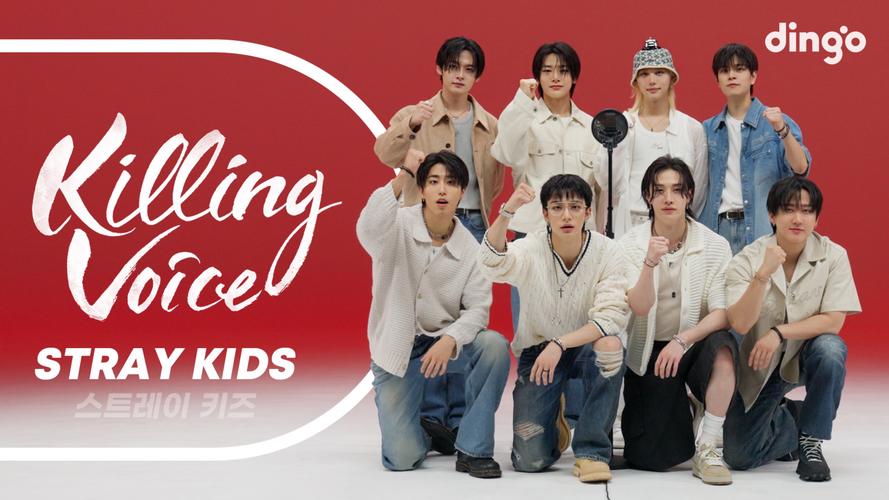 StrayKids演唱会（票房号召力）（stadium级别演唱会）