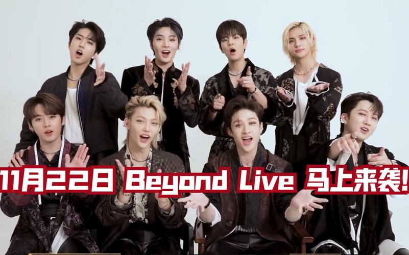 StrayKids演唱会（票房号召力）（stadium级别演唱会）