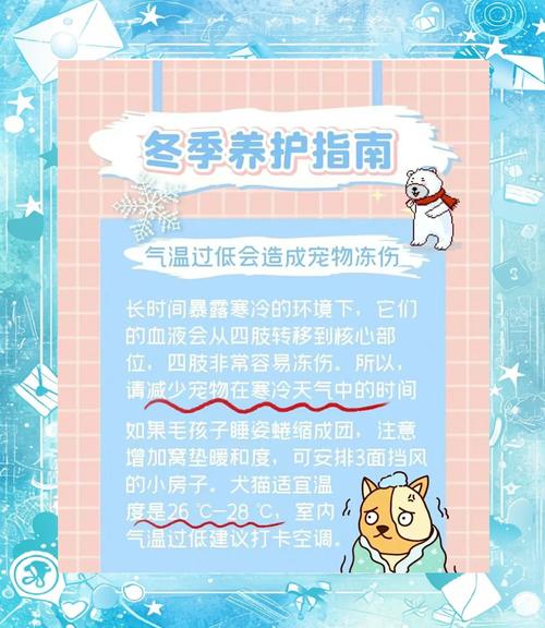 宠物日常（宠物日常护理小常识）