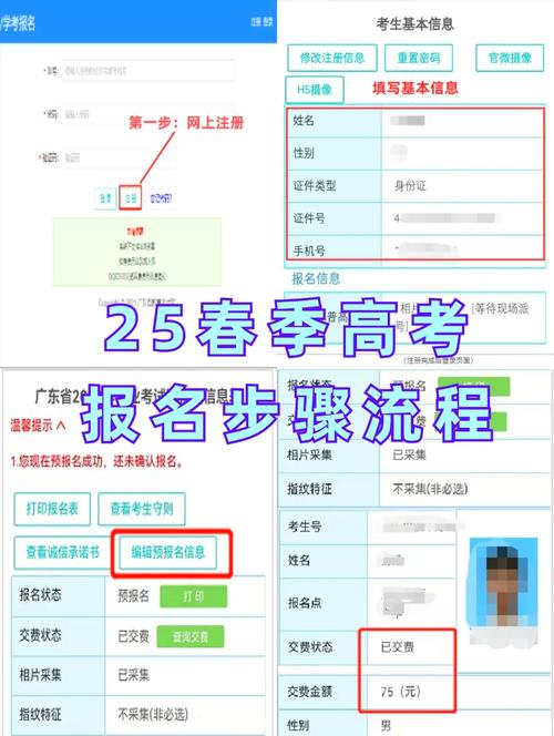 网上报名学校怎么报名（网上学校报名怎么弄）