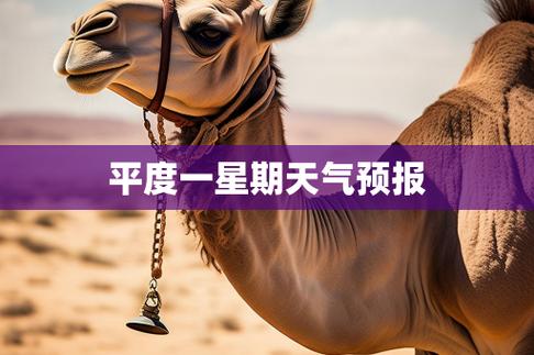 平度天气（平度天气预报15天）