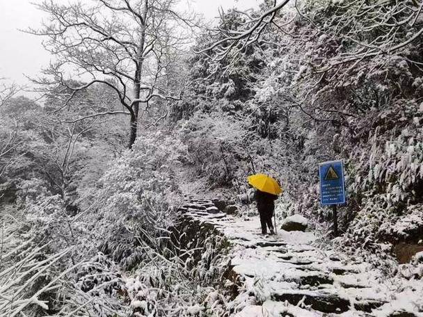 富阳天气预报(富阳天气预报24小时详情)