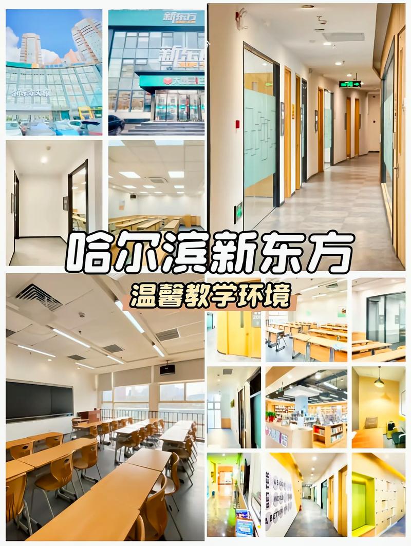 哈尔滨新东方英语（哈尔滨新东方英语学校怎么样）