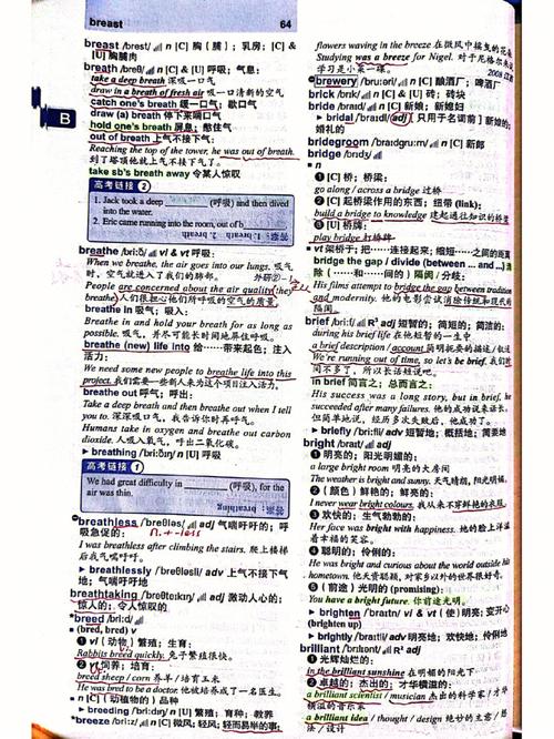 维度英语（维度英语单词怎么写）