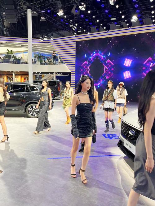 西博车展(西博车展2024)