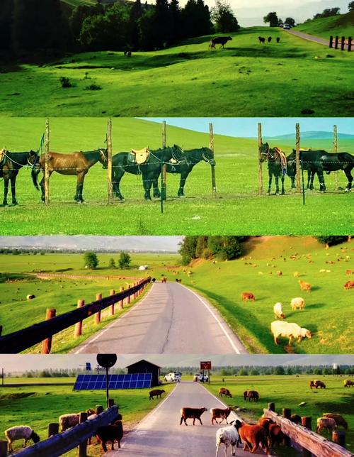 呼和浩特地图（呼和浩特地图2025年高清最新版）