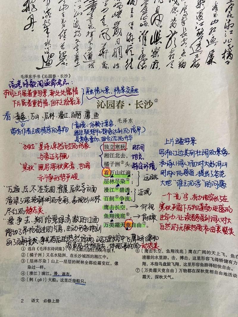 沁园春长沙阅读答案（沁园春长沙古诗文阅读）