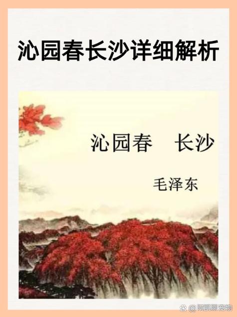 沁园春长沙阅读答案（沁园春长沙古诗文阅读）