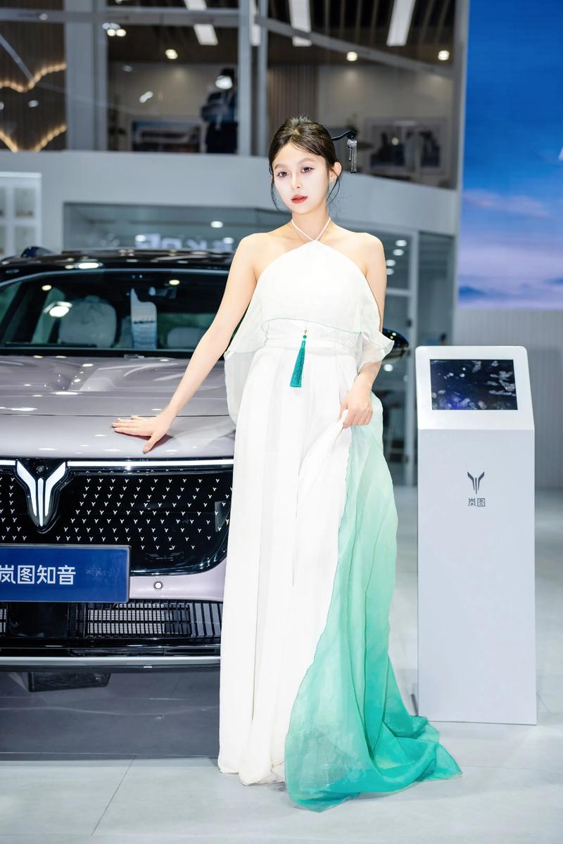 郑州大河车展（郑州大河车展要门票吗）