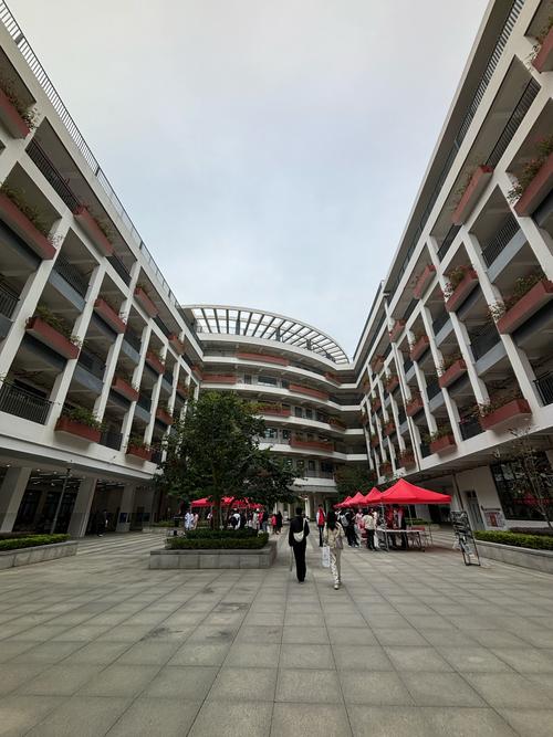 广州学英语(广州学英语的全日制学校)