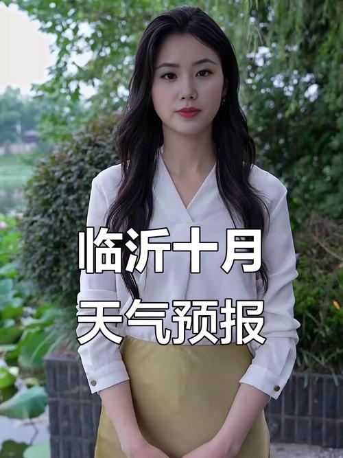 临沂天气预报查询一周（临沂天气预报查询一周15天）