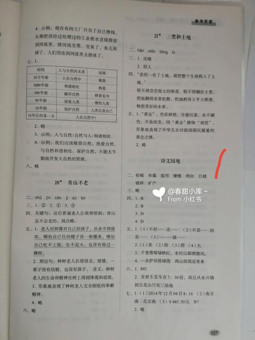 六年级上册语文补充习题答案（语文八年级上册同步训练答案）