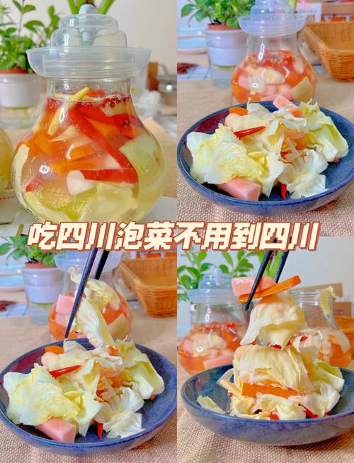 泡菜的做法（泡菜的做法视频教程）